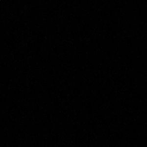 Meet your Posher, Gwen